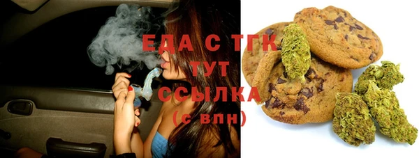 индика Аркадак