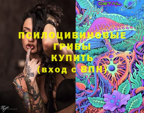 индика Аркадак