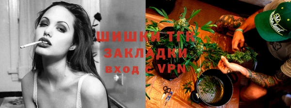 индика Аркадак