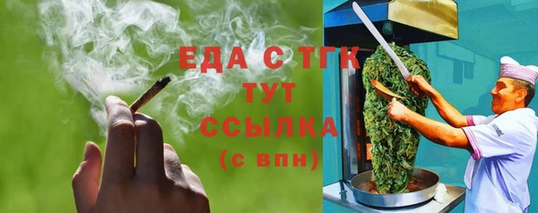 индика Аркадак